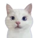 @0ra__nyan