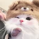 @10.8474
