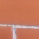 @123p0xavida