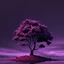 @1omsayf