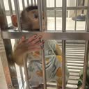 @2210.su