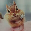@23rdj0yaa228b7d