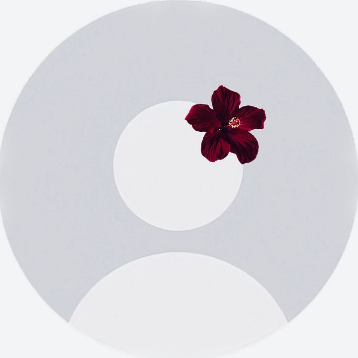 @23v.com