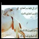 @33opo