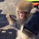@4everfortnitelover