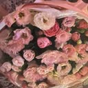 @5212_elnare