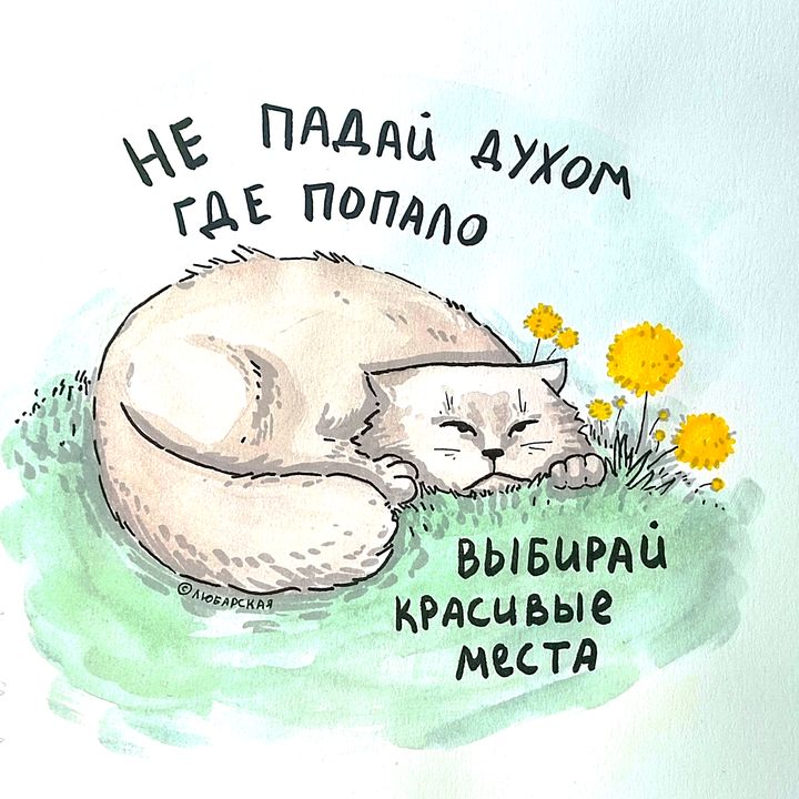 @_biblio_maniac