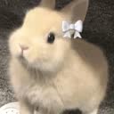 @_kozhek_