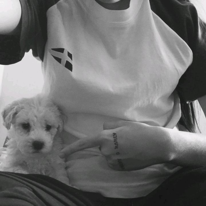 @_yoko.ok_
