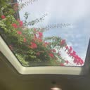 @a_lives07