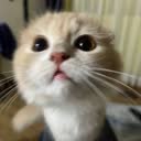 @abcdefgift_