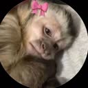 @ad____090
