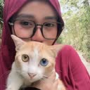 @adekmanis891