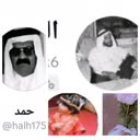 @afsafh452