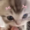 @aik0chi._