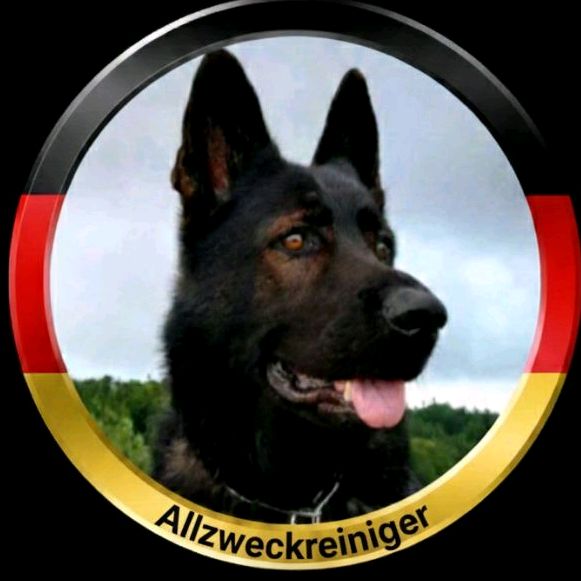 @allzweckreiniger3