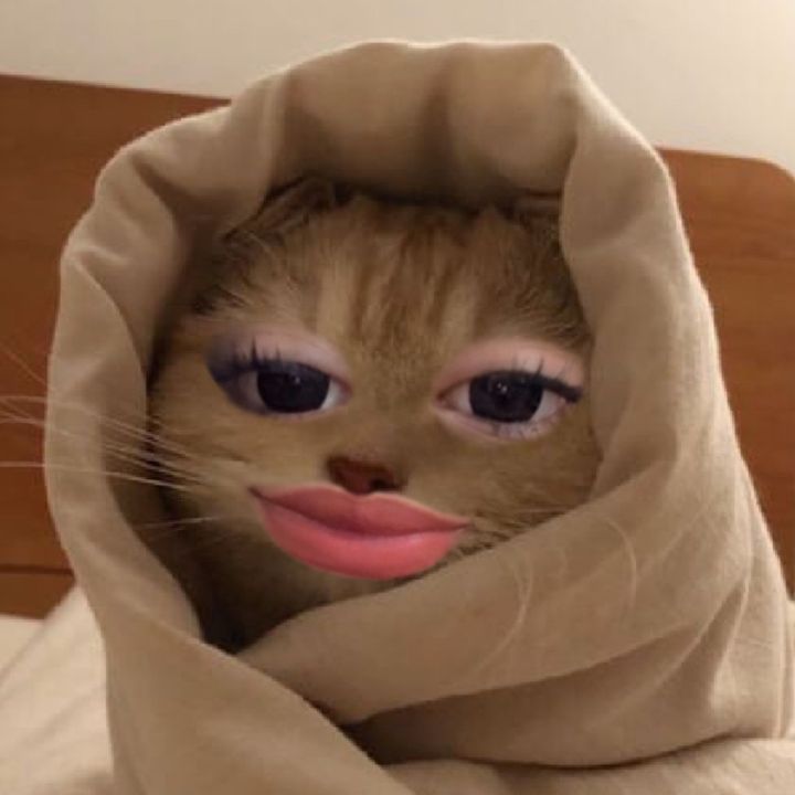 @amaniysh_