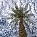 @amin1alg