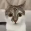 @ange333027