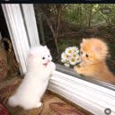@ann_beii1vyyzyy