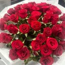 @astana.laura
