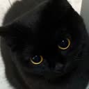 @axno._.fff