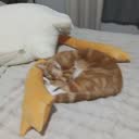 @ban343774