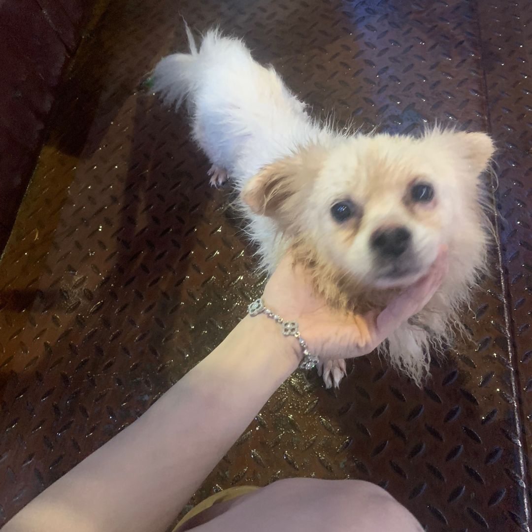 @bbixinhgai326