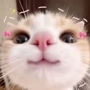 @biiiii691