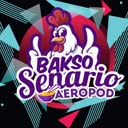@bsaeropod_
