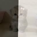 @burcuyyy41