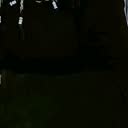 @canem331