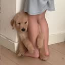 @champookodcha