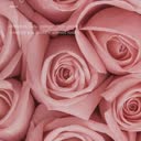 @christel487669