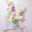 @cioci.made