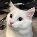 @d4rk.s3cr3t