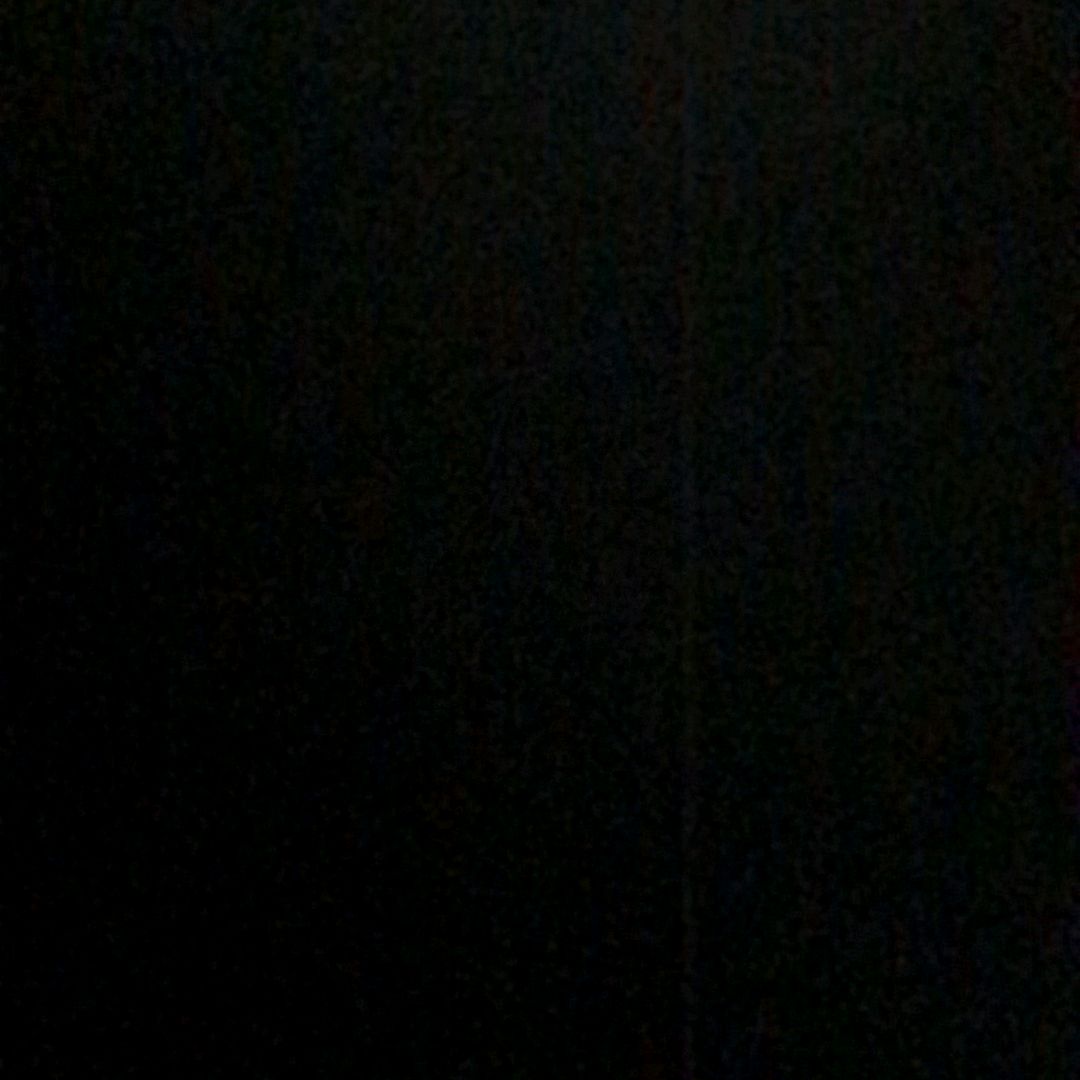 @dansil818