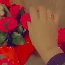 @dimaabdelhamid7