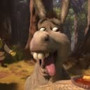 @donkeynubs