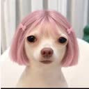@douyu_10