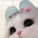@eftzra8sm1