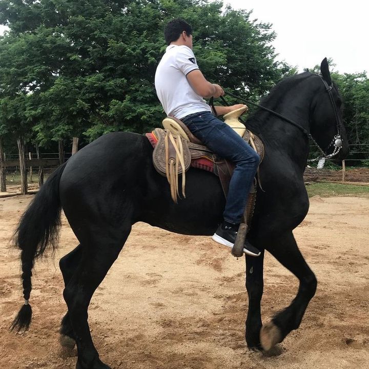 @el_ivanad