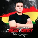 @elprof.freddytola