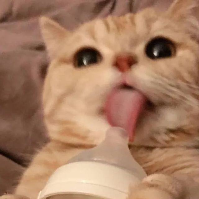 @fah.x0806nt