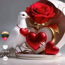 @fatima.hiyani