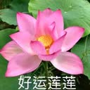 @fl6lz7