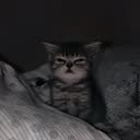 @fuxk_off_1920