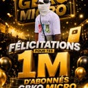 @gbkomicro1