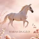 @geo_boa2