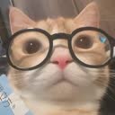 @ghostgatito